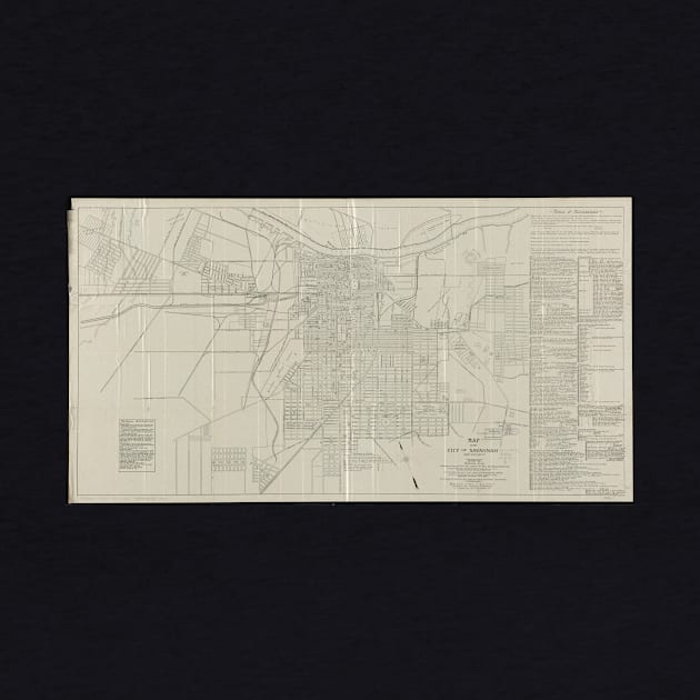 Vintage Map of Savannah Georgia (1917) by Bravuramedia